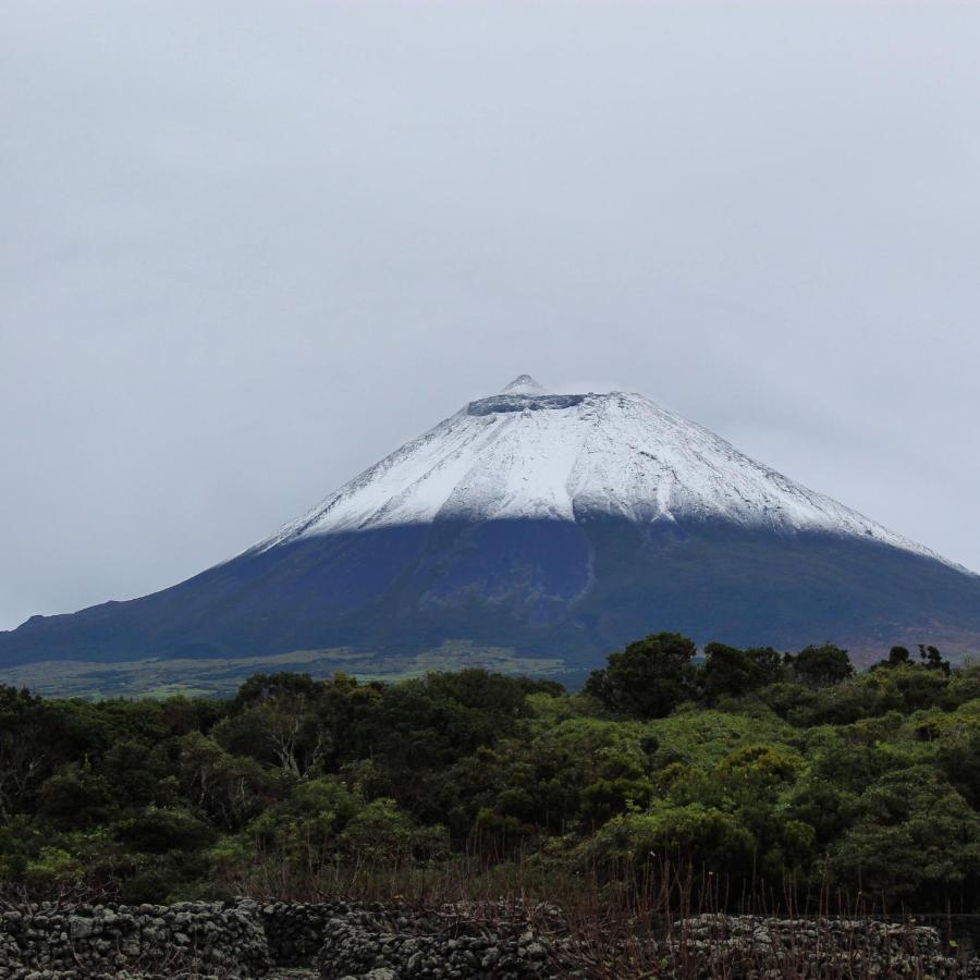 Villa Casinha De Pedra à Cais do Pico Chambre photo