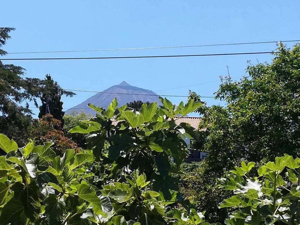 Villa Casinha De Pedra à Cais do Pico Extérieur photo